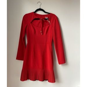 NEW Rebecca Valance Pleat Skirt Dress